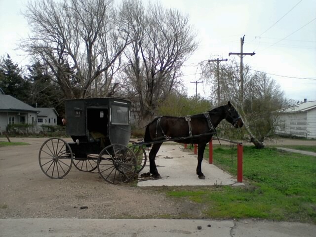 Amish horse and buggy