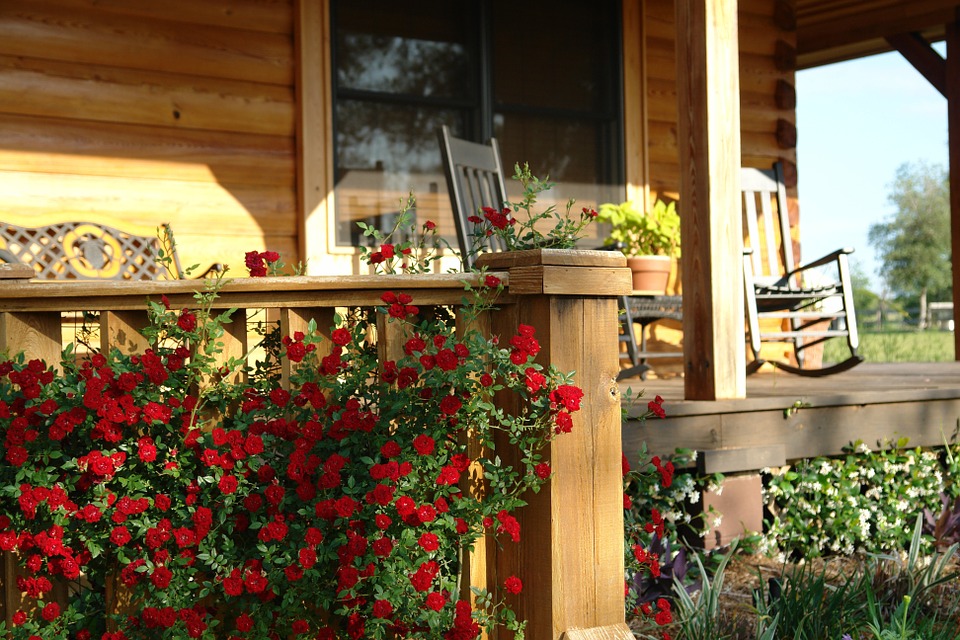 country-cabin