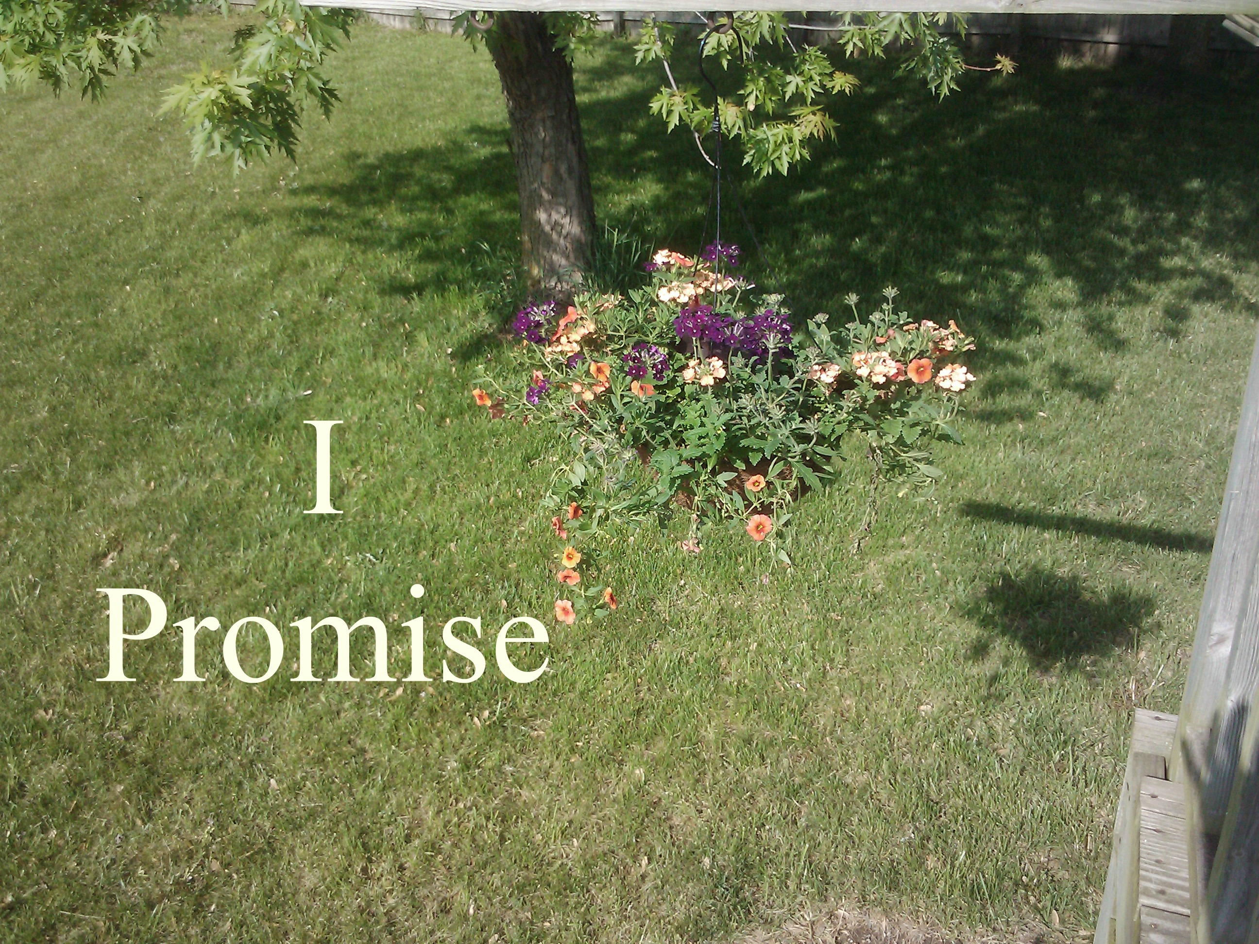 i-promise