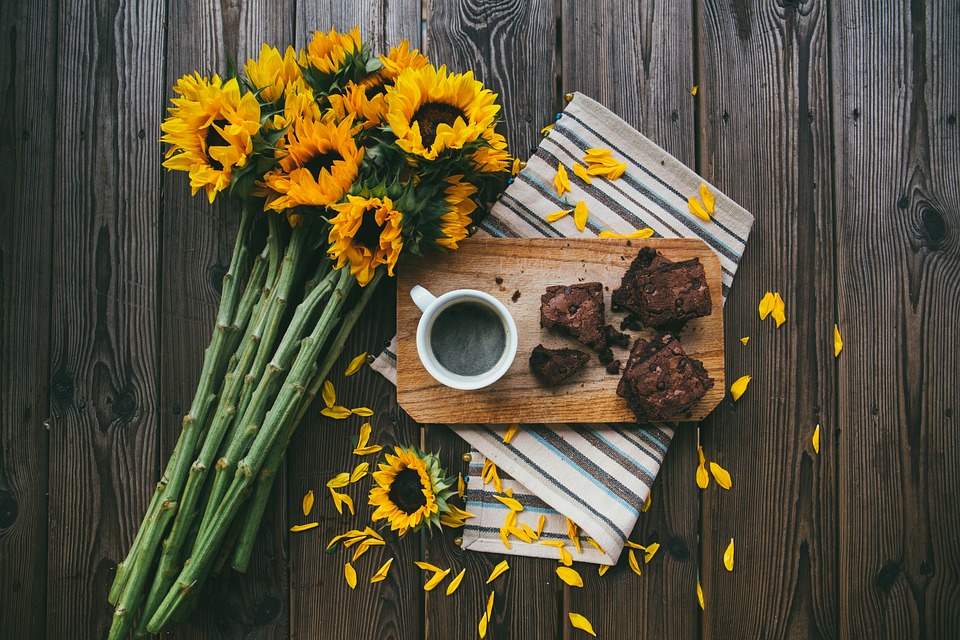 brownies and sunflowers