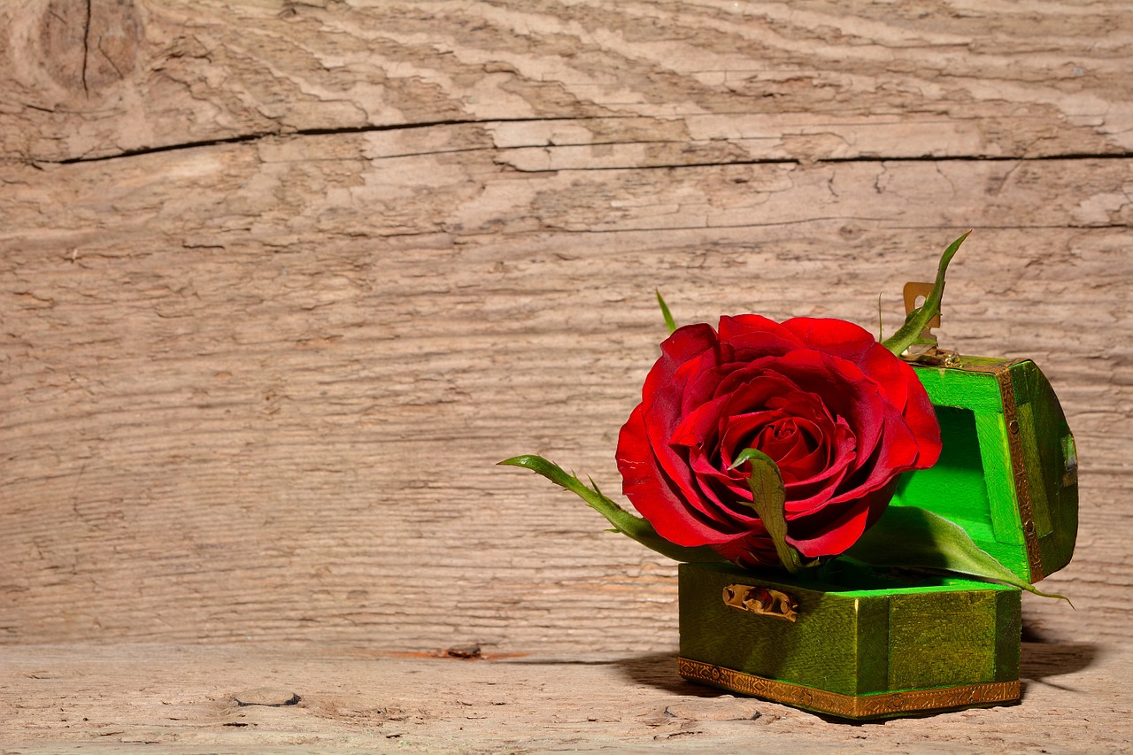 rose in treasure box