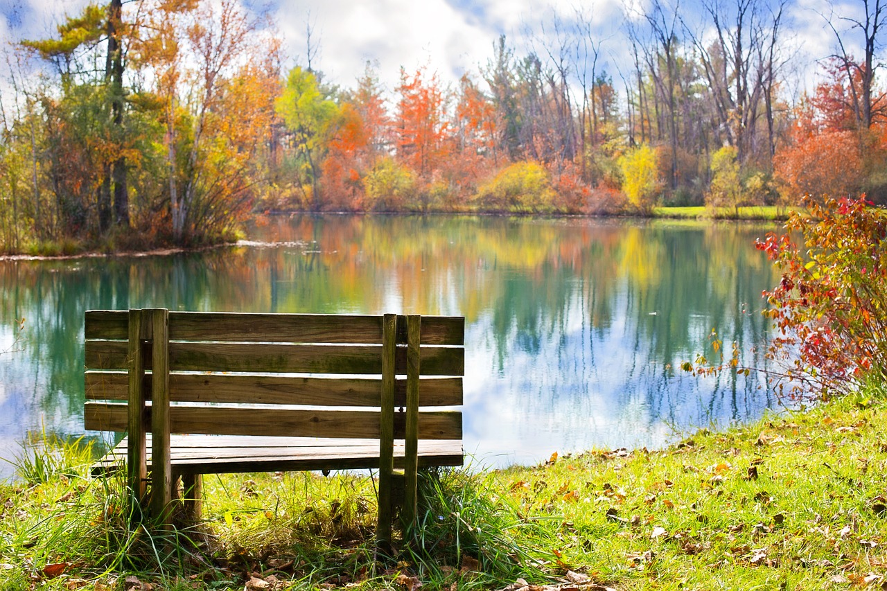 wood bench - lake - autumn