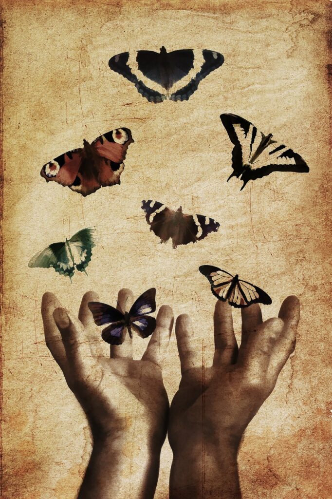 Image by Inspired Images / Pixabay, multiple butterflies released by human hands