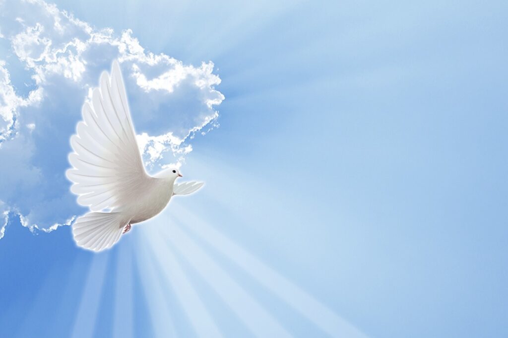 dove-sky blue background with cloud and white dove