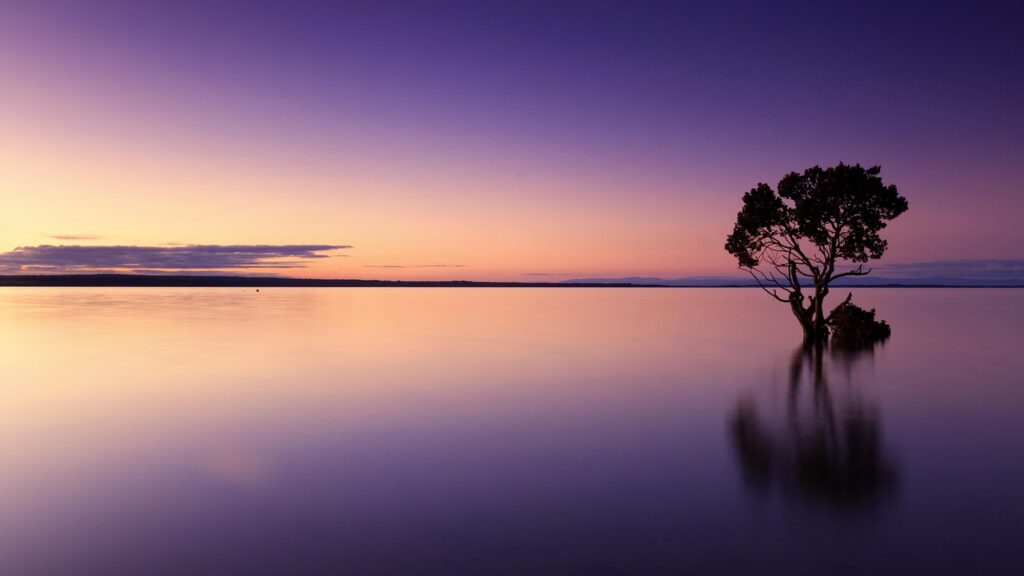 sunset-1373171_1280 purple and gold tone sunset